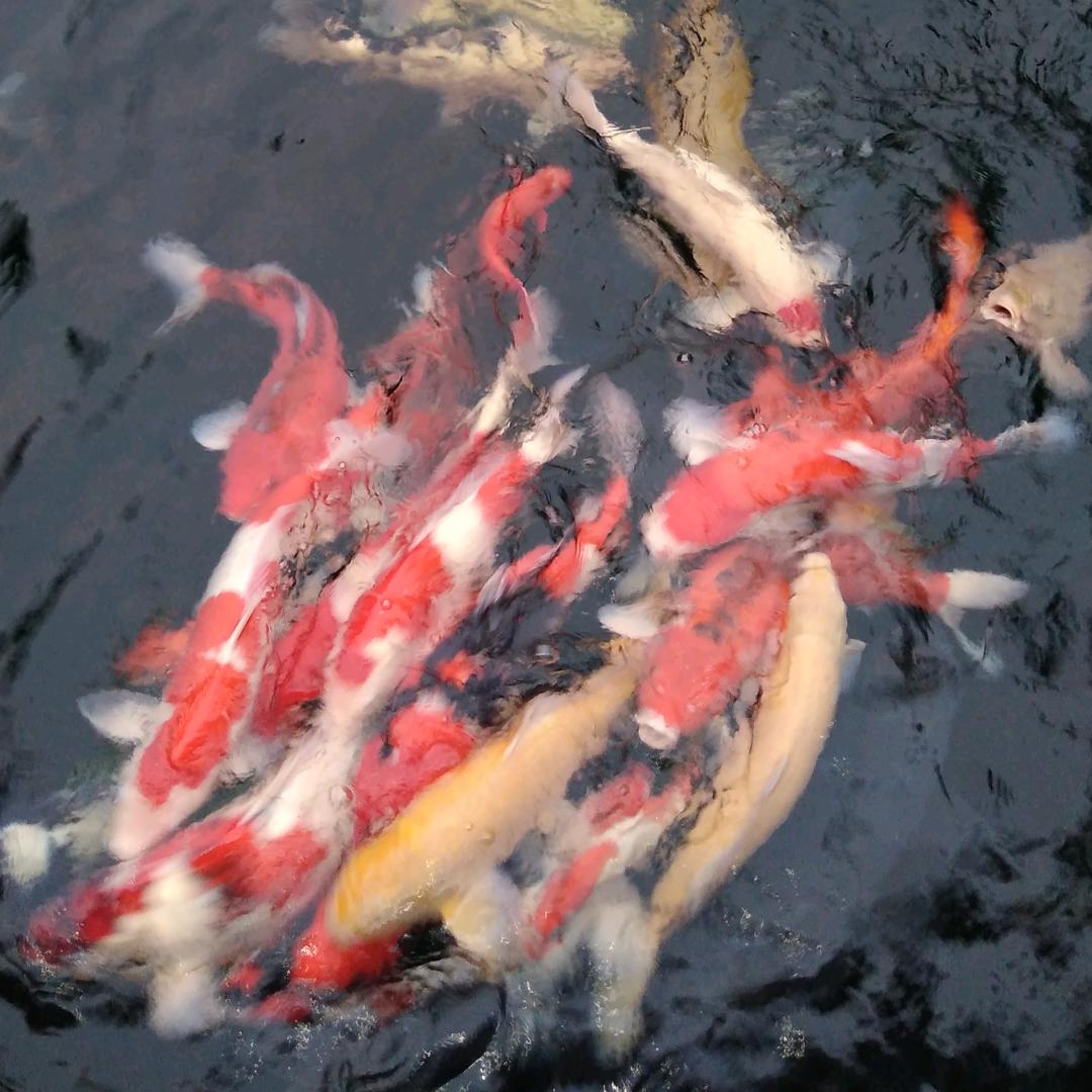 阿龙8888888999砸墙