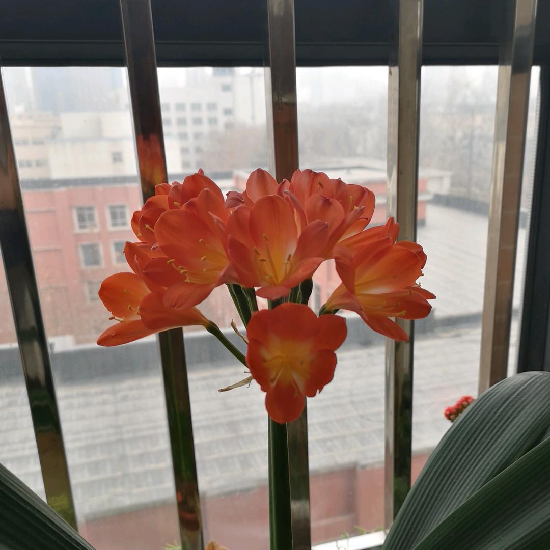 涵妈2019