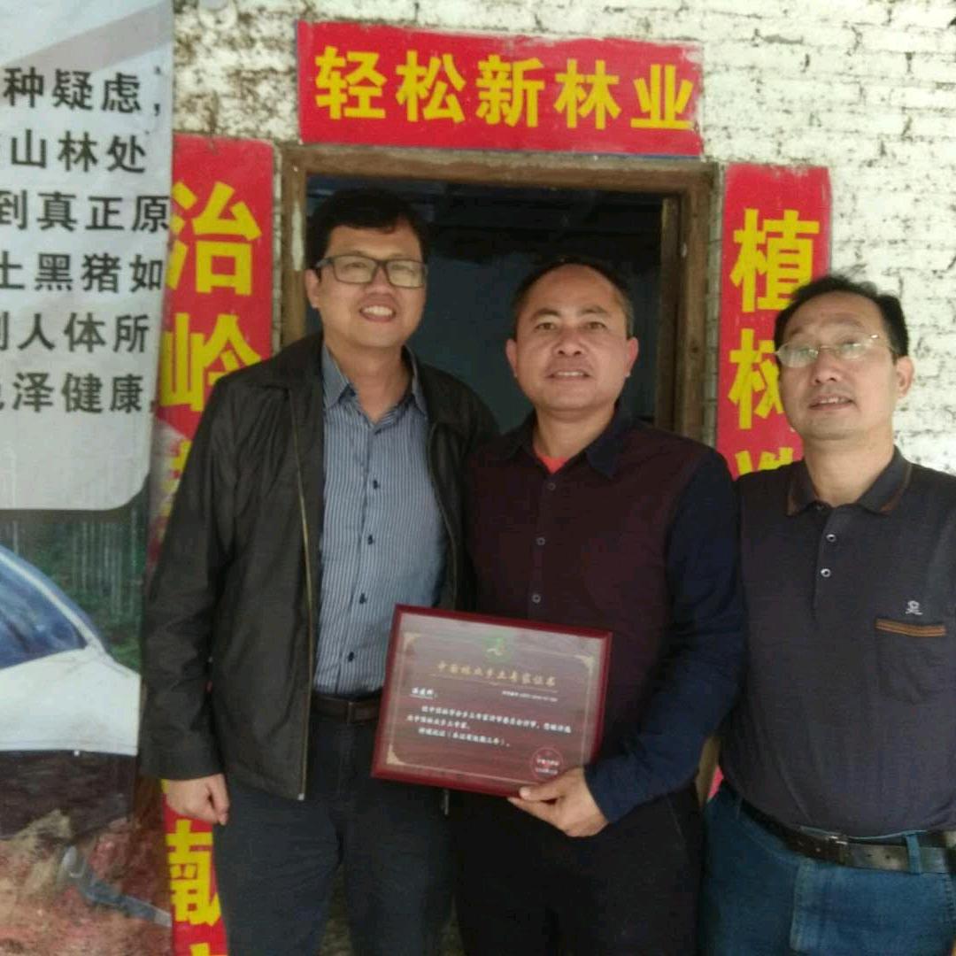 轻松新林业（桉树）温建科