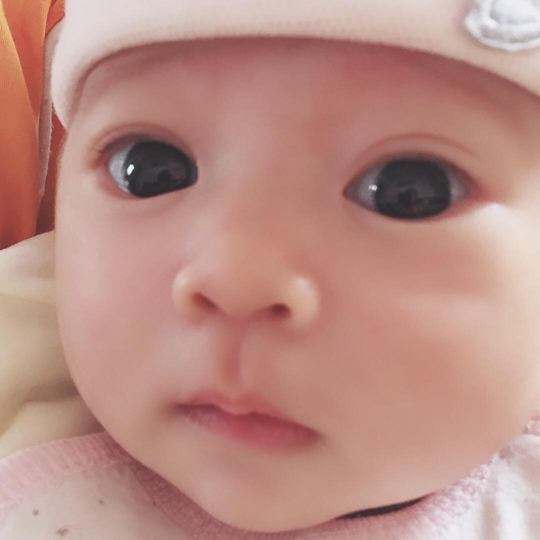 🌞风是@自由的🍭🍭