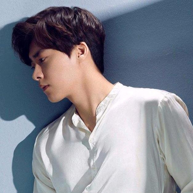 树荫下的🎶音乐节