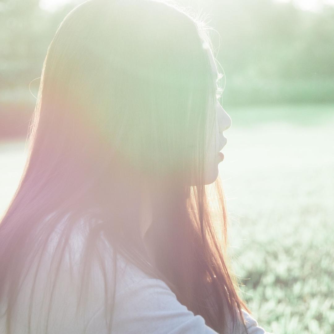 今天出太阳（找猫版