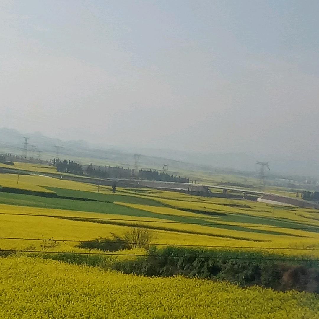 一场梦