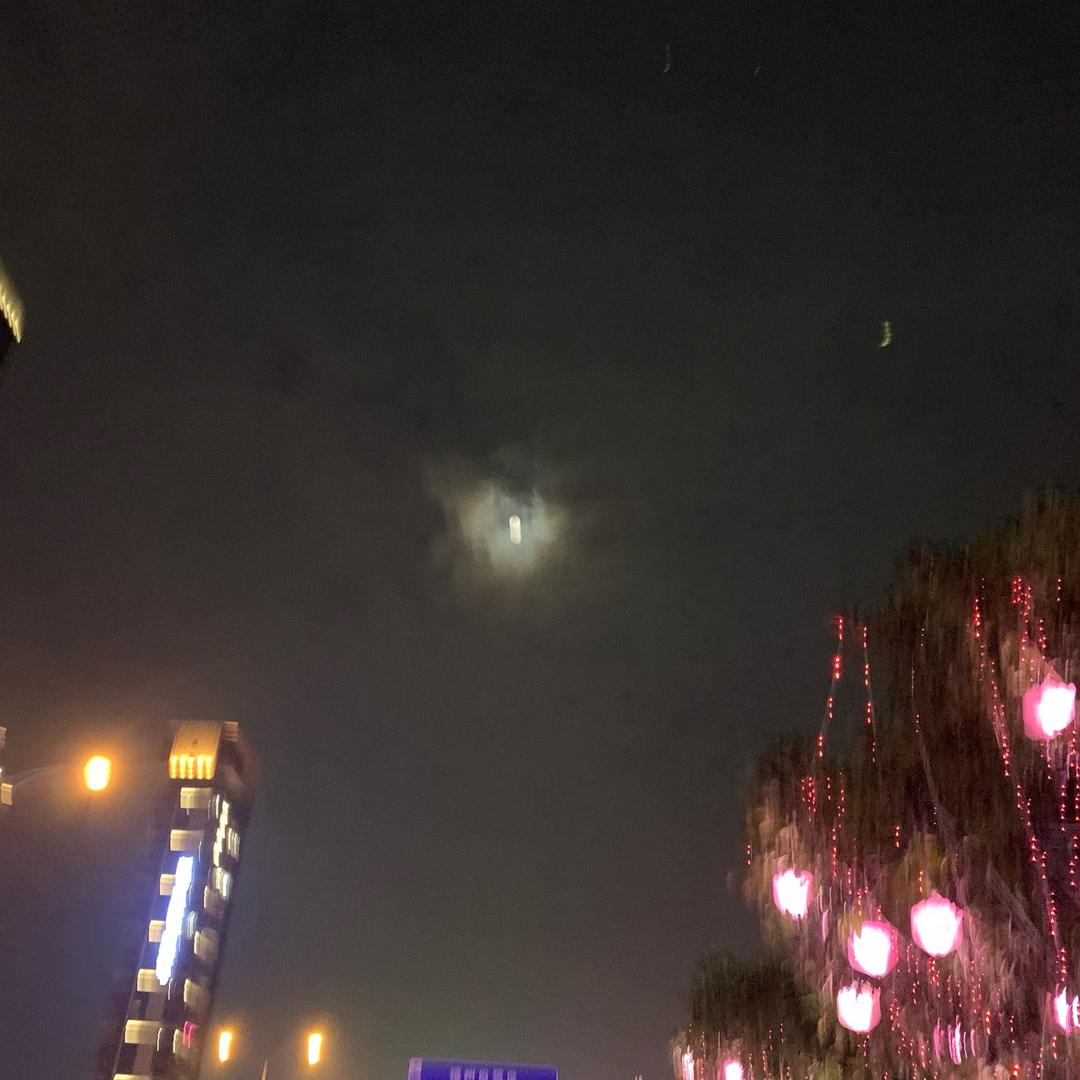 大虾小虾都是虾