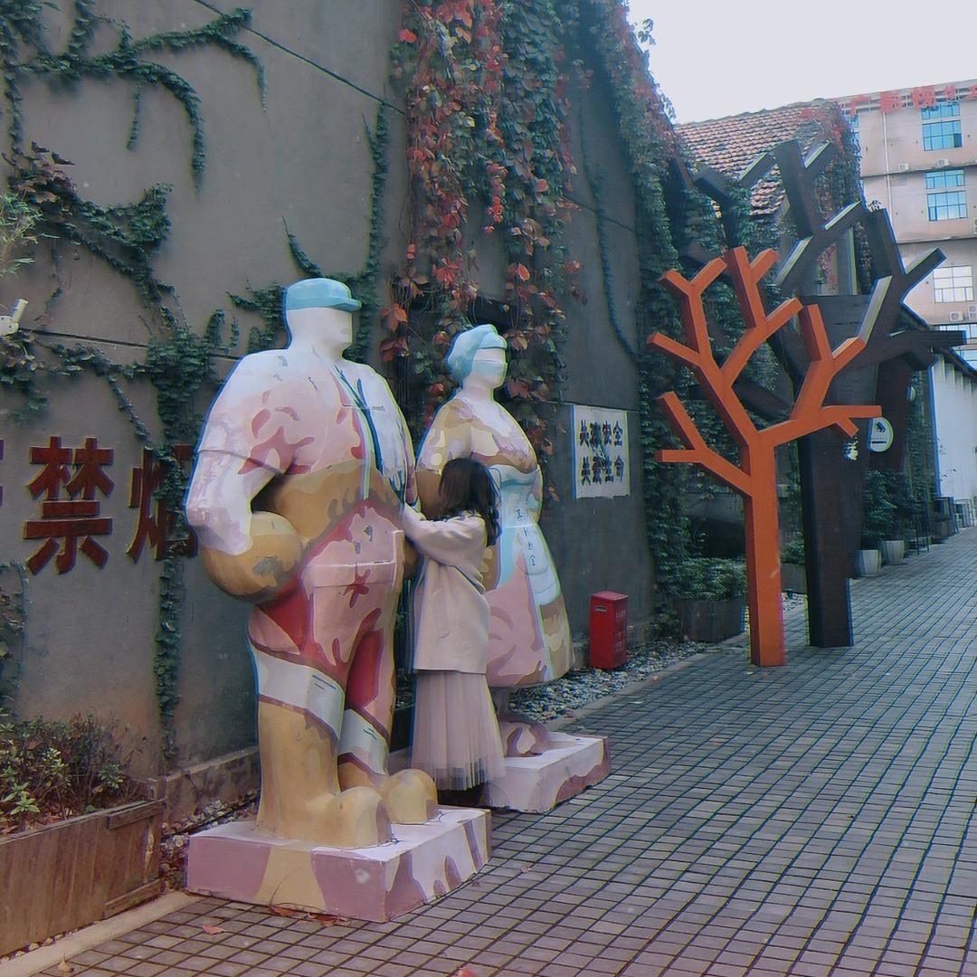 是可可