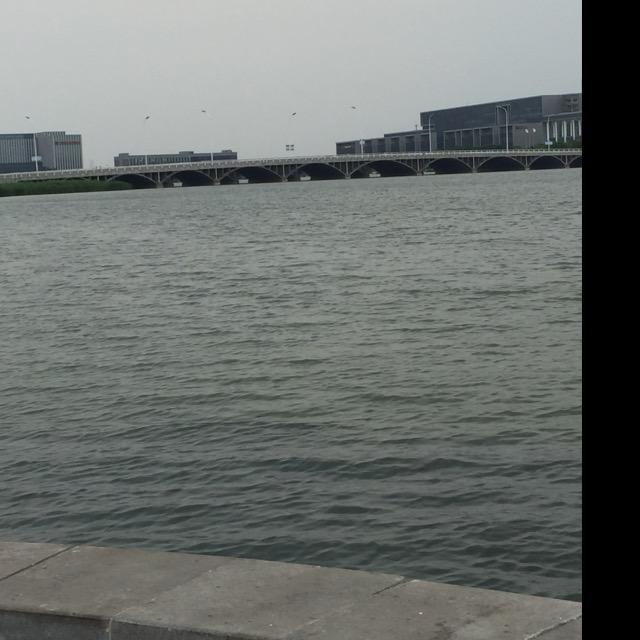 自说自话，少@我