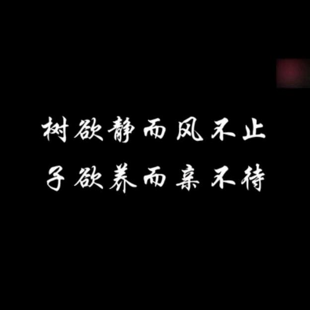 苏宁易购惠州总店 温店