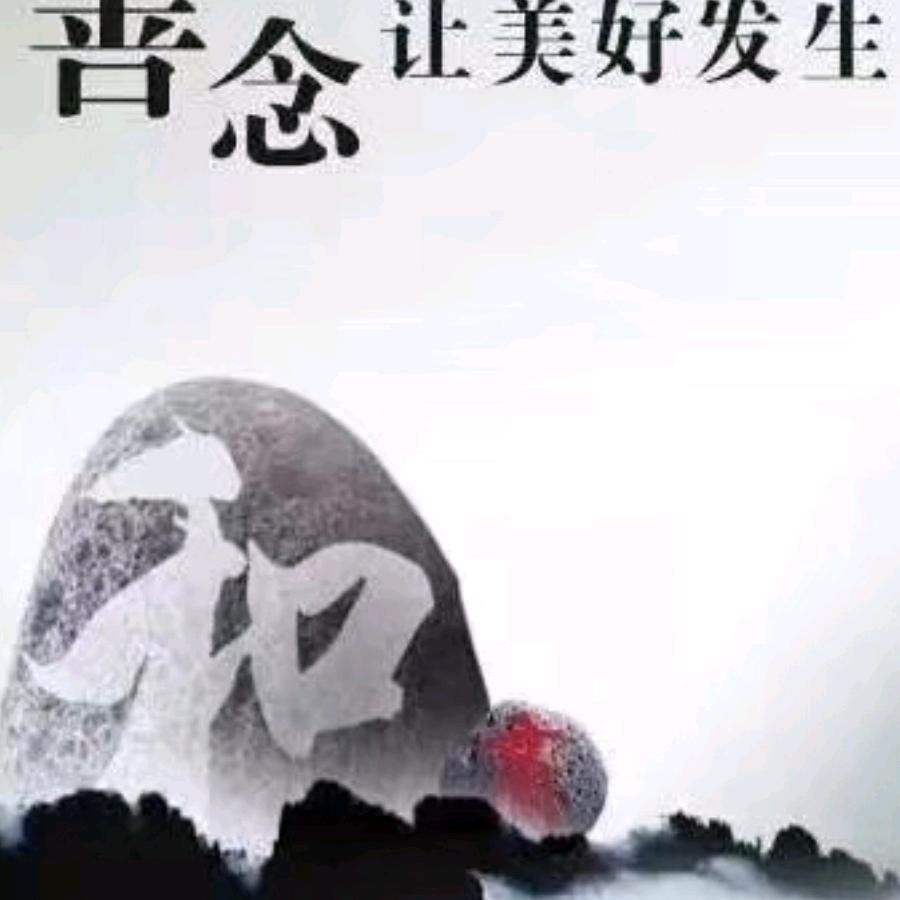婧（福宝）宝