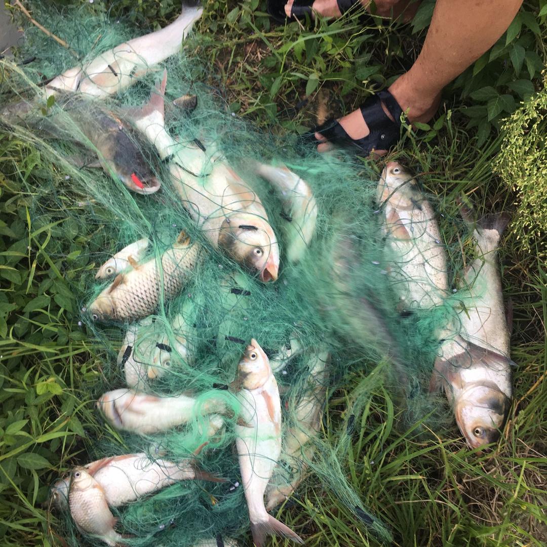 玲珑渔网