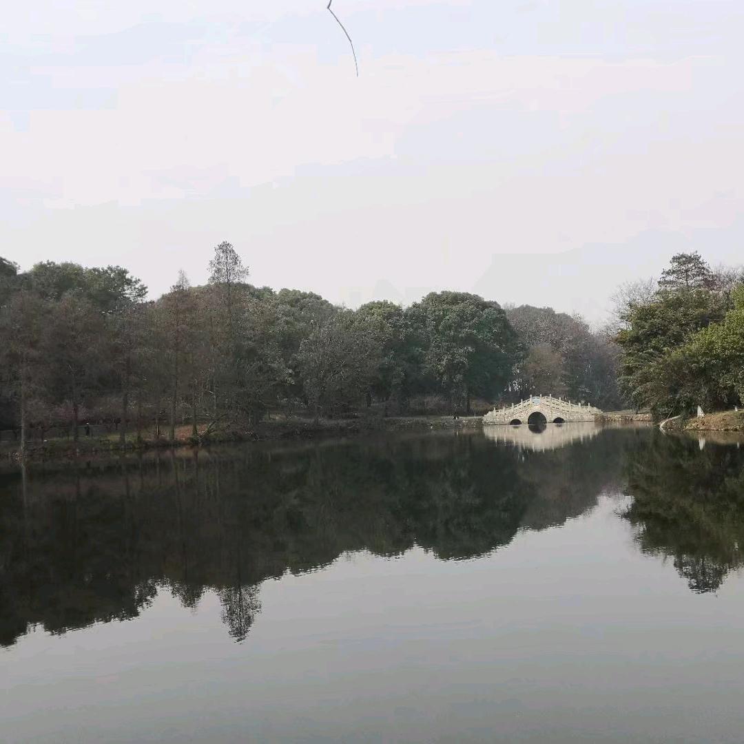 斌哥