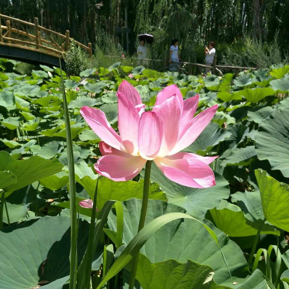 岁月静好😀😀