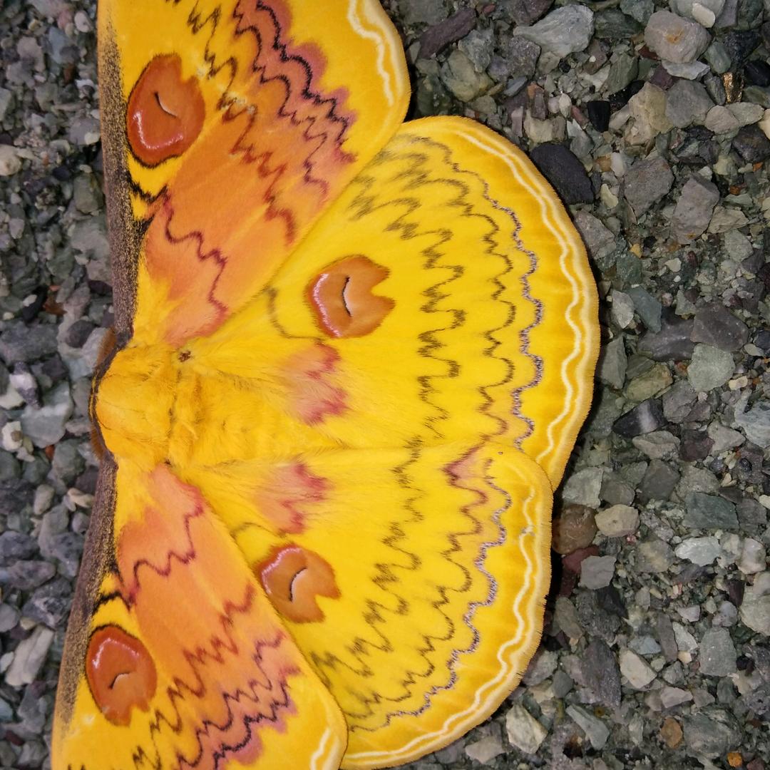 用户2657958217100徵笑的拥抱