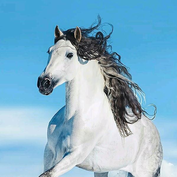 闯天下，走四方