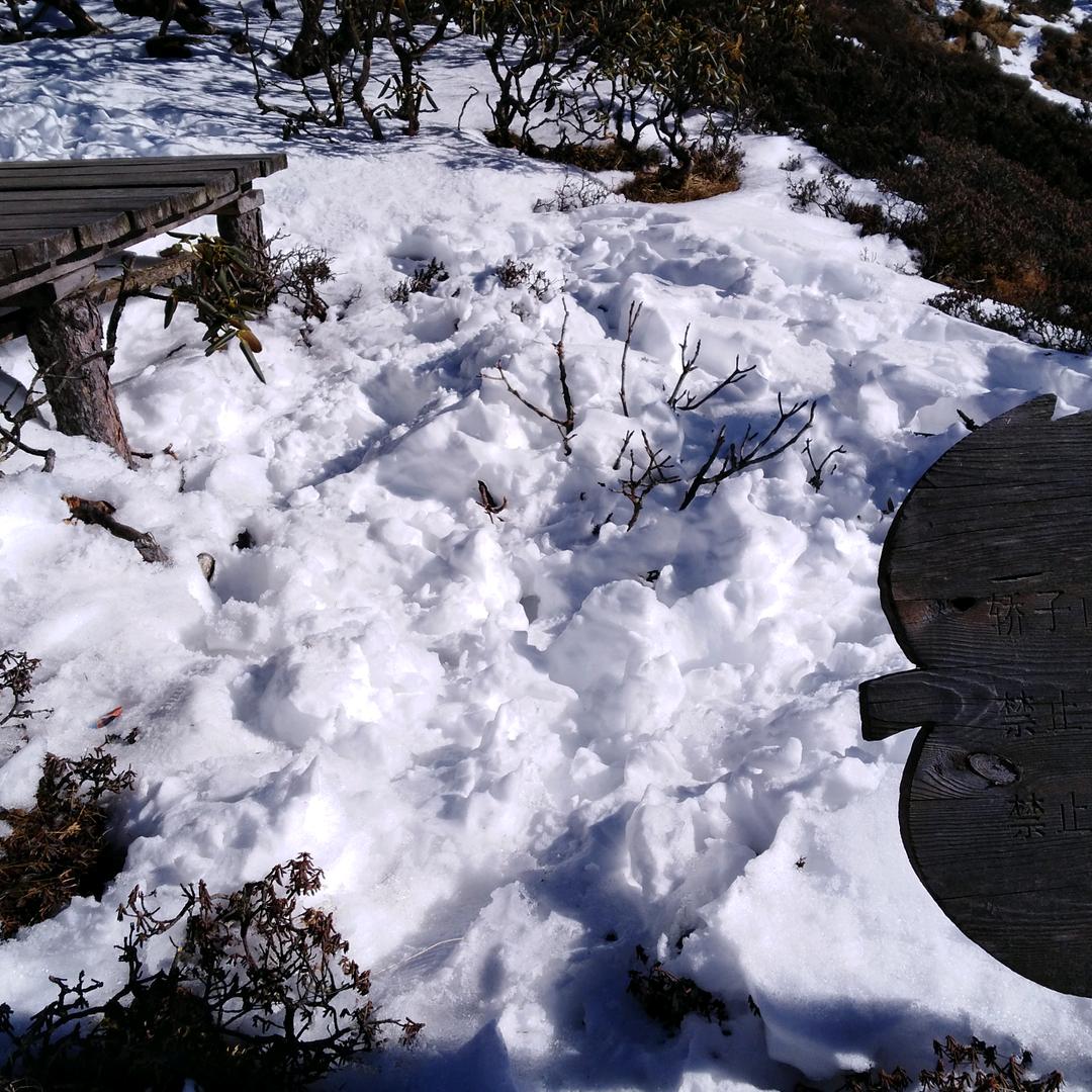 漂洋过海（DC联盟）