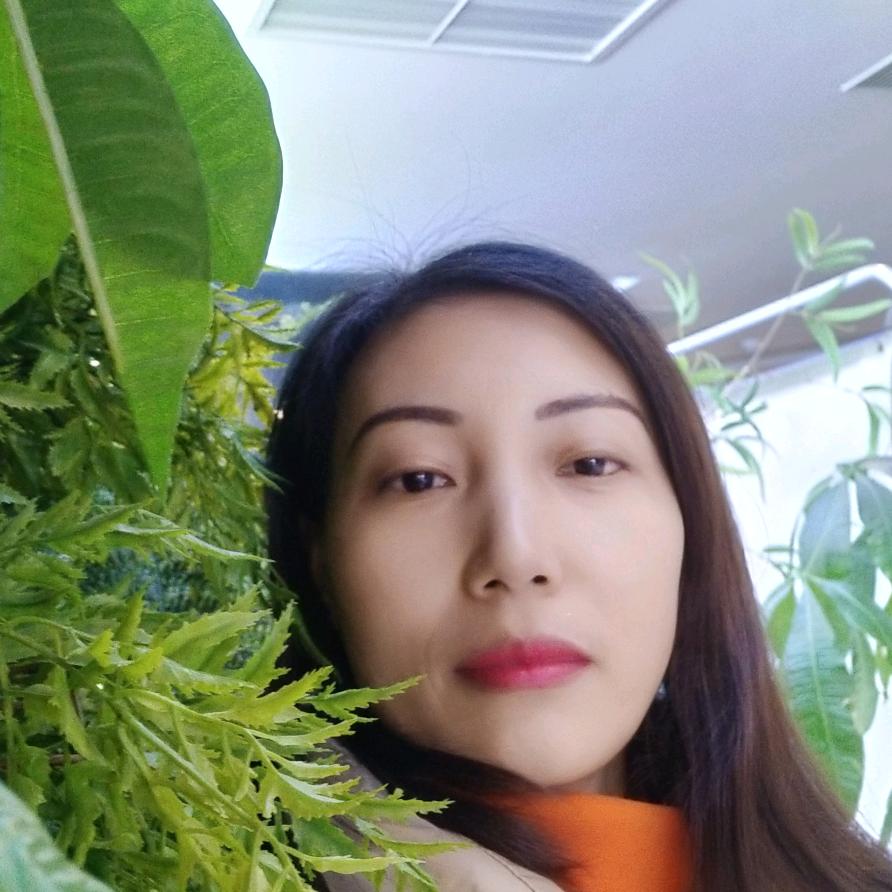 梅姐