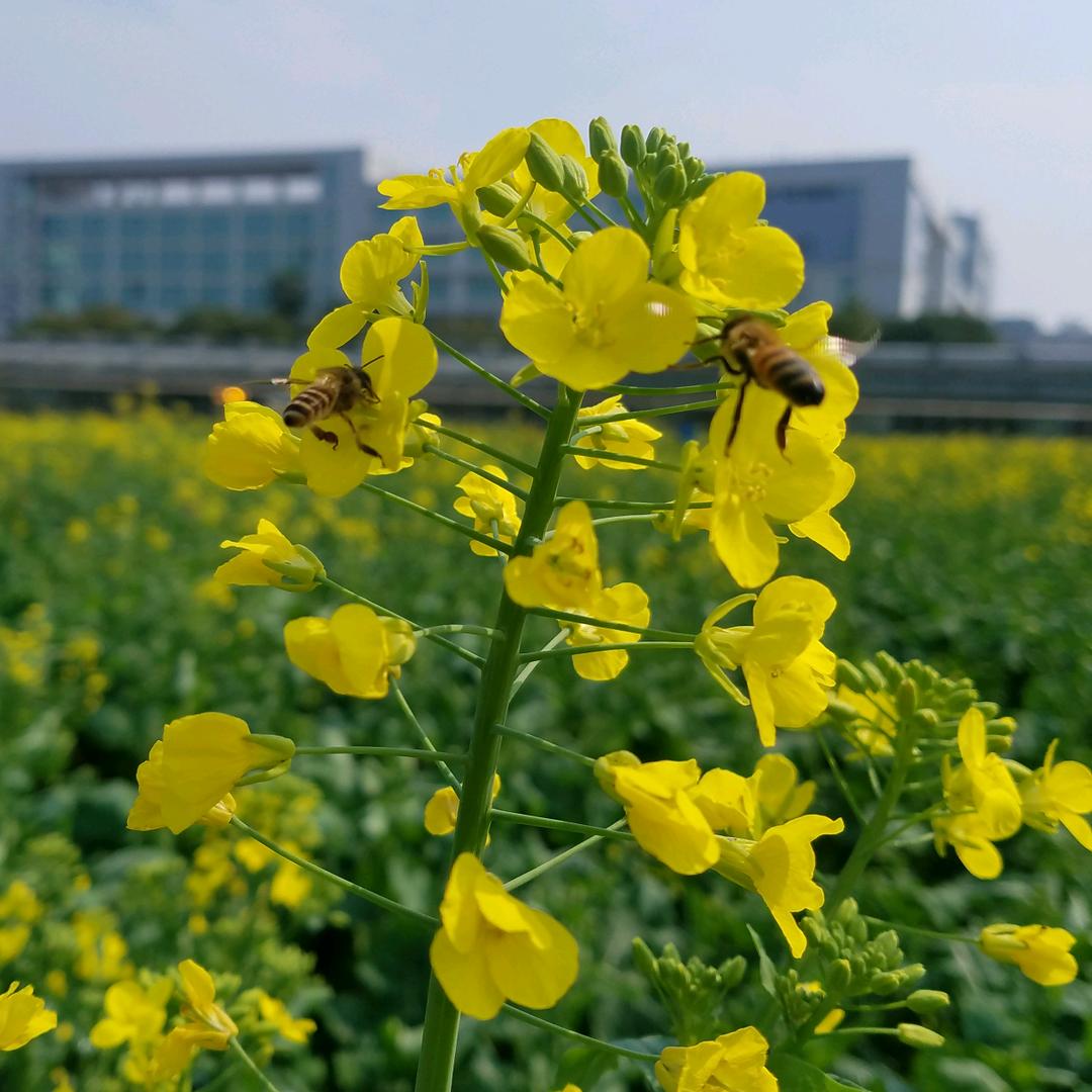 💖💝((郑好🌺⥎🌺有李))🌹