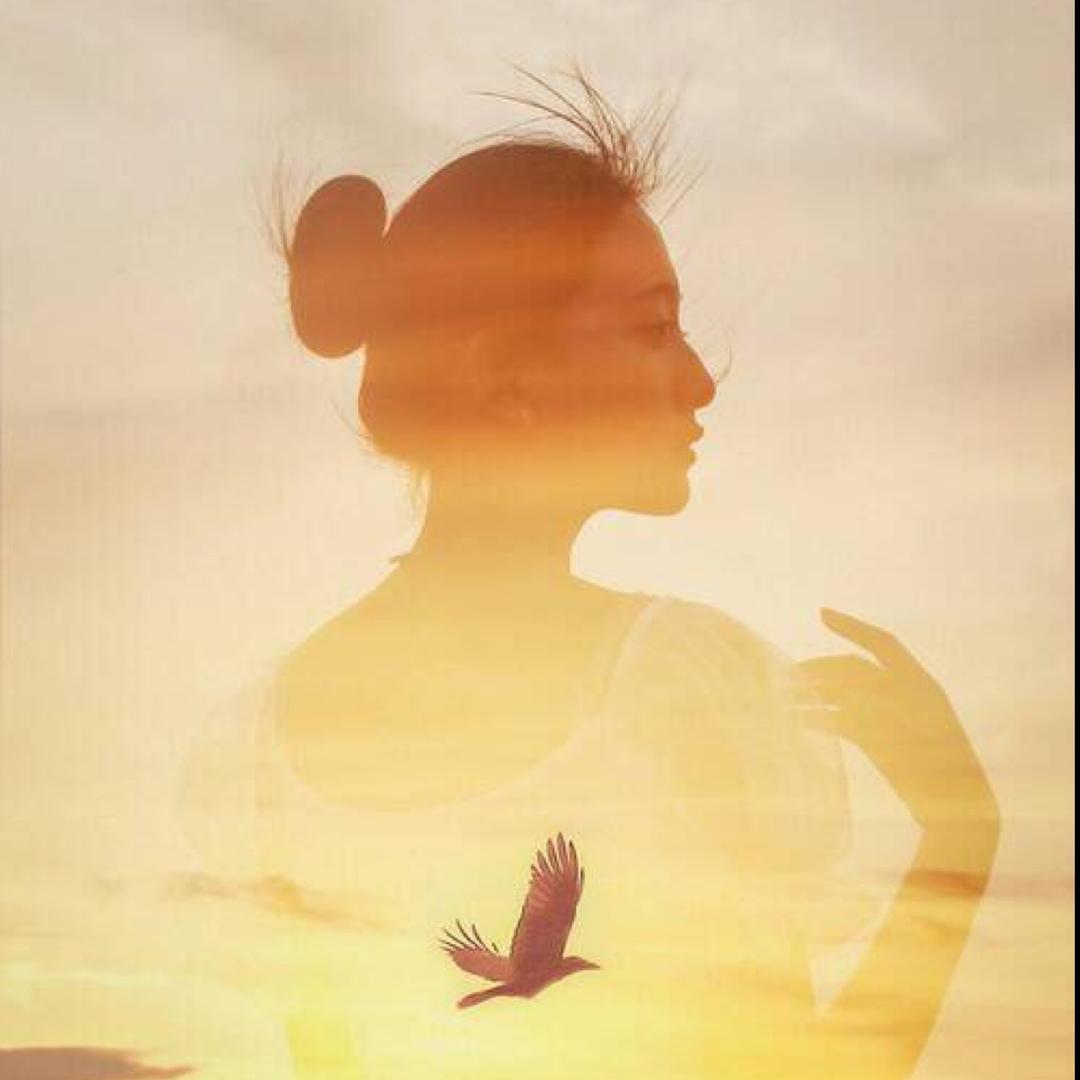 亲亲（鞋伴同行）