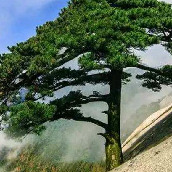 跟随幸福一起走