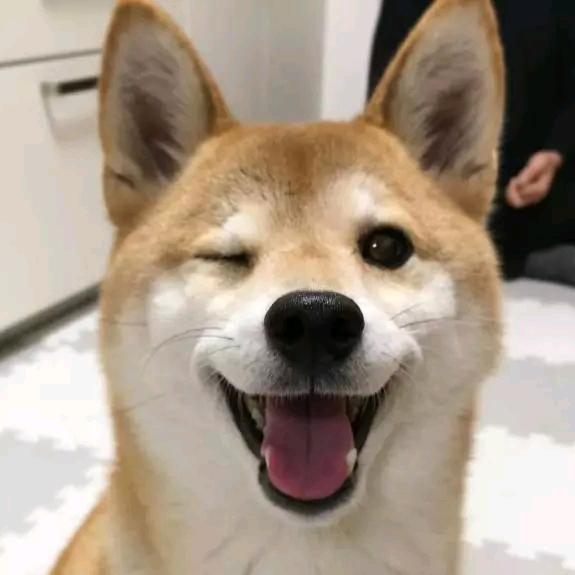 辉儿是我的全世界