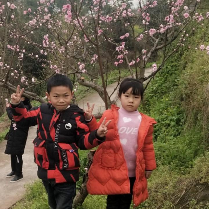 看不清@说不明