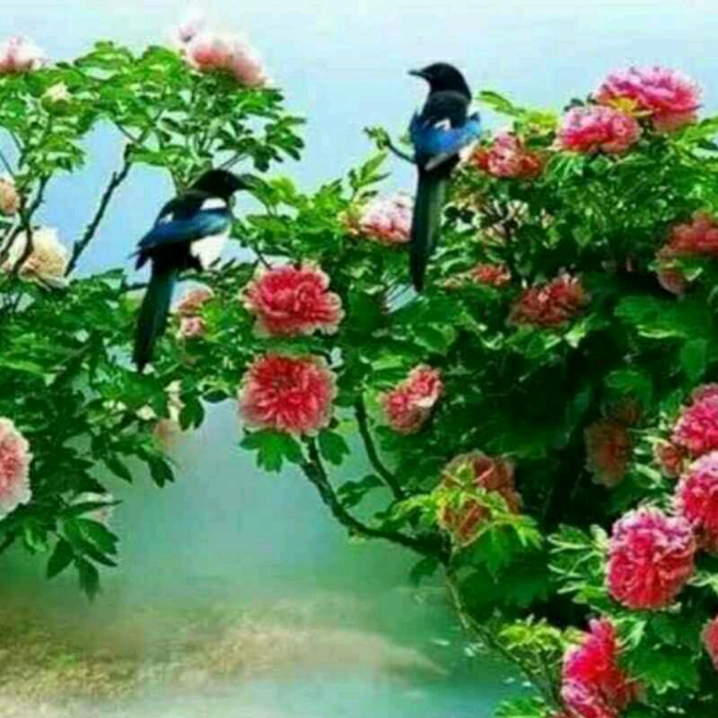 丿叁妻④妾灬