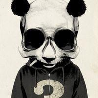 爱吃西瓜