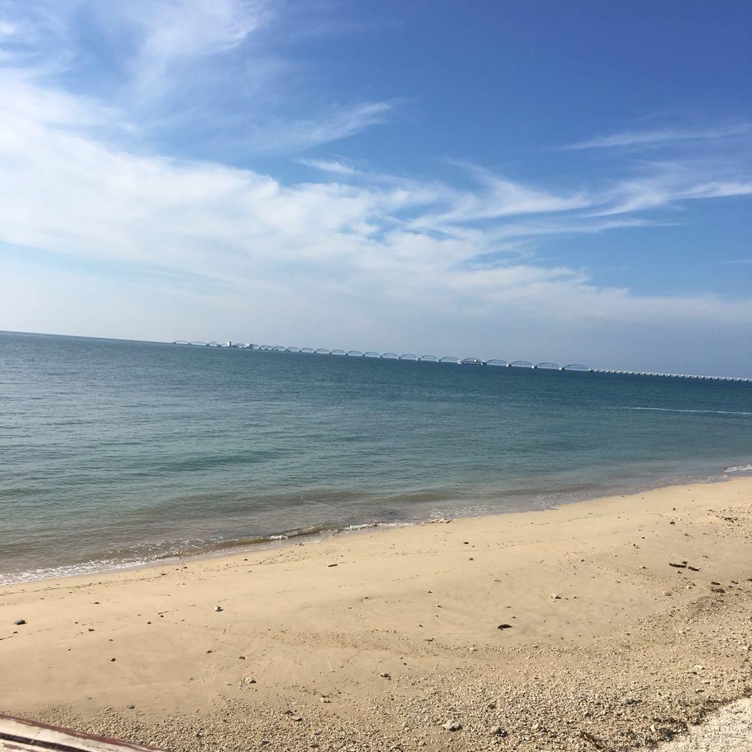 小小杨