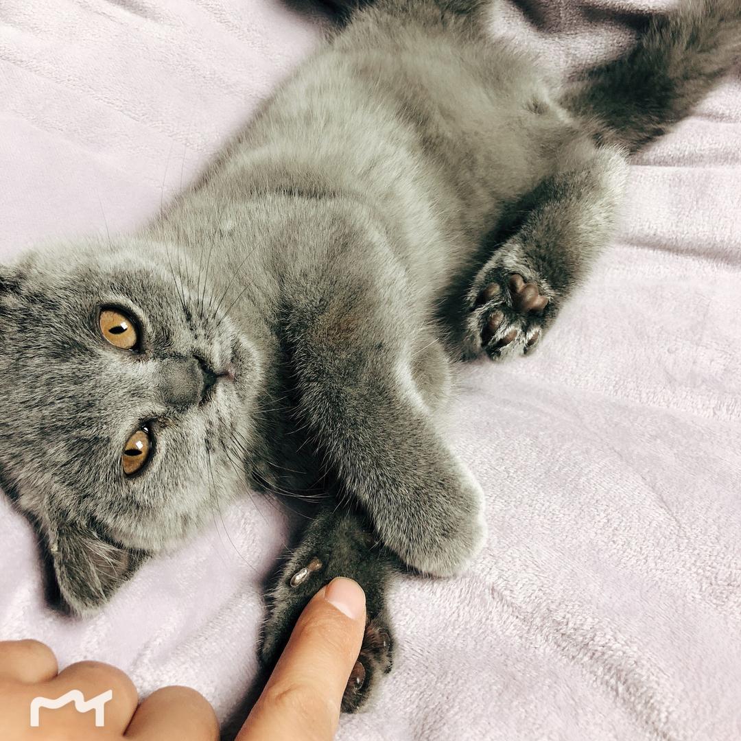 是你的月亮呀🌙