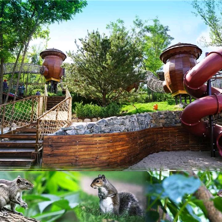 北京欢乐松鼠谷