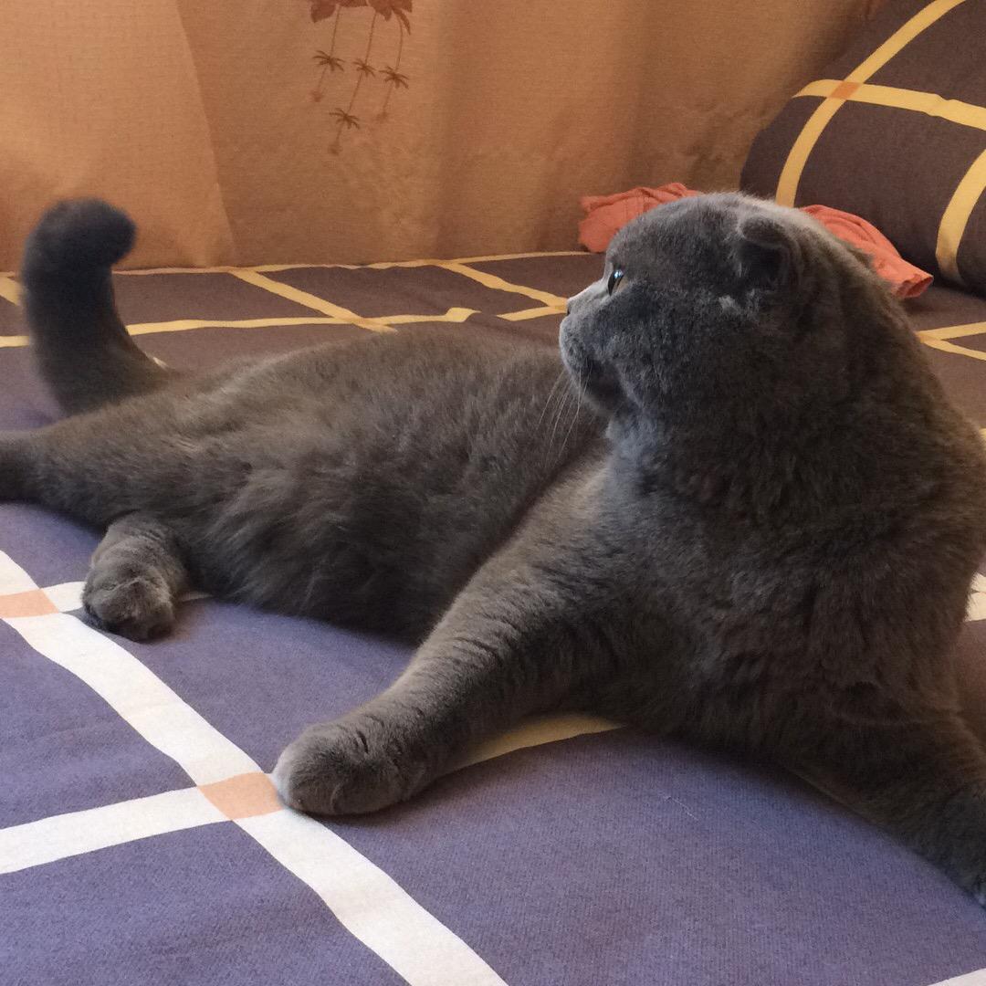 雷