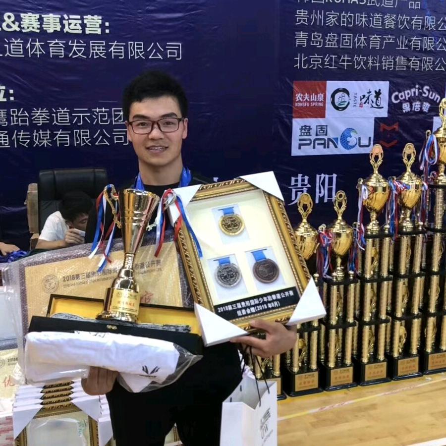 星影武道综合格斗