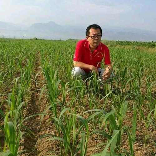 土息味生态社区