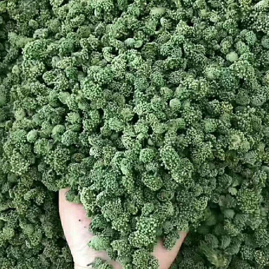 越努力，越幸运