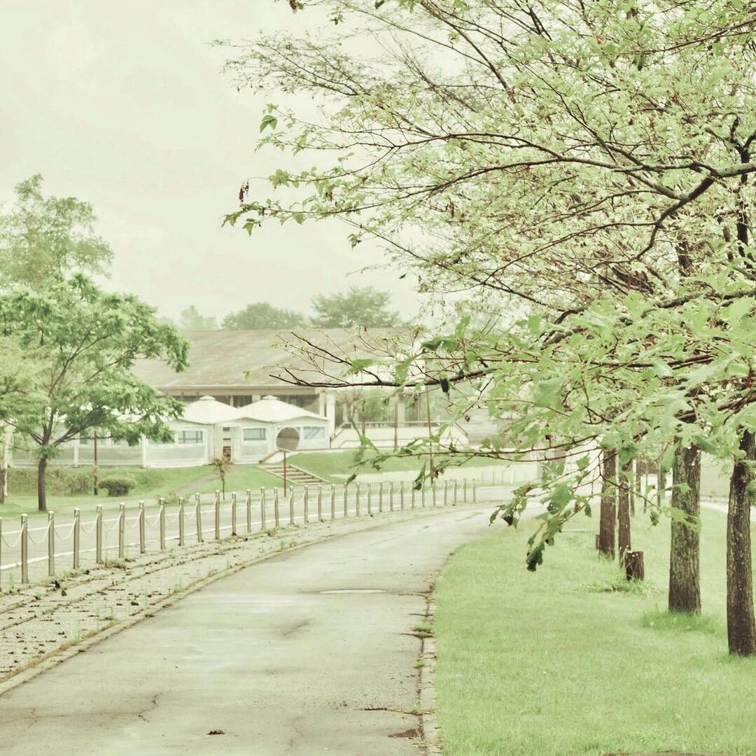 冰冷的石头