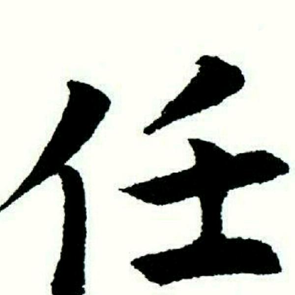 专业家装