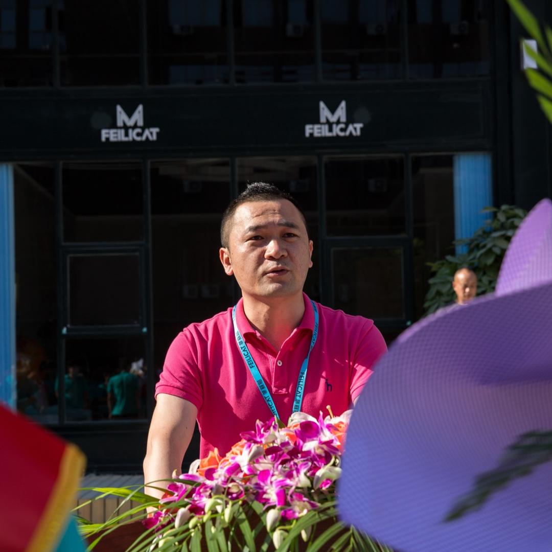 菲丽猫