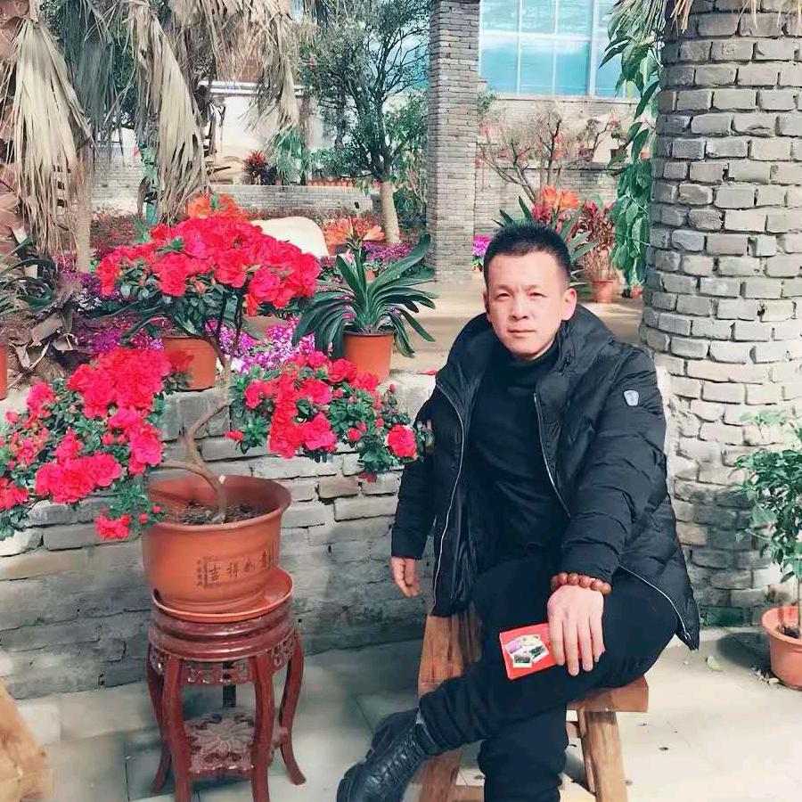 青锋苗圃，