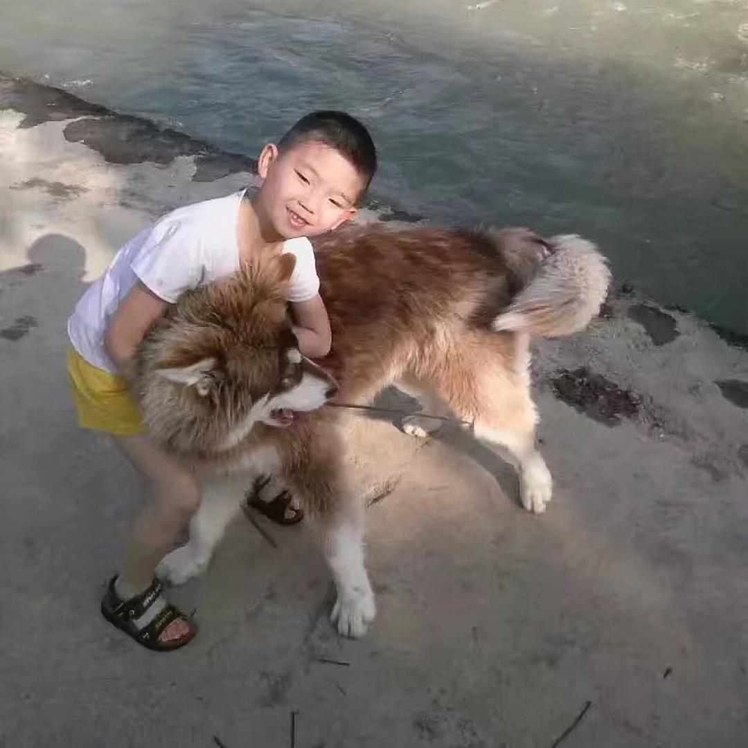 星语心愿