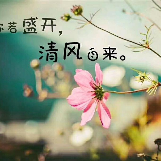 浮生微凉