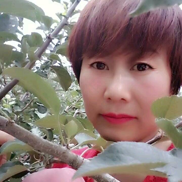 杨红