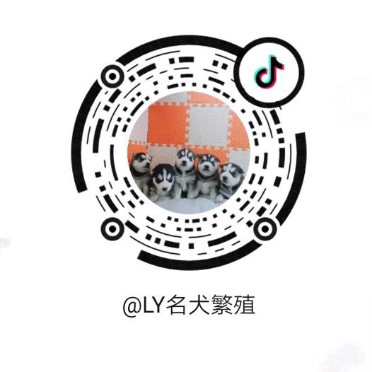 宋（拒绝私聊）