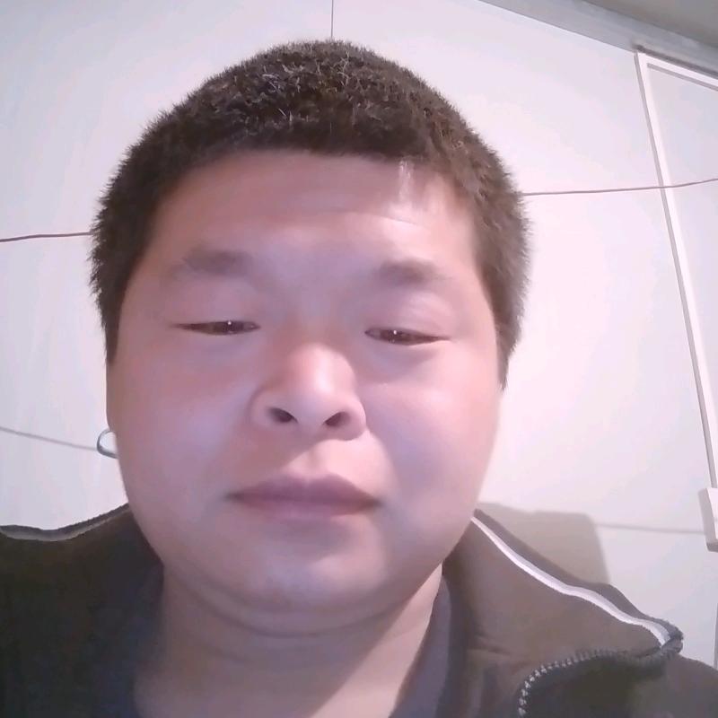 小波专业贴砖