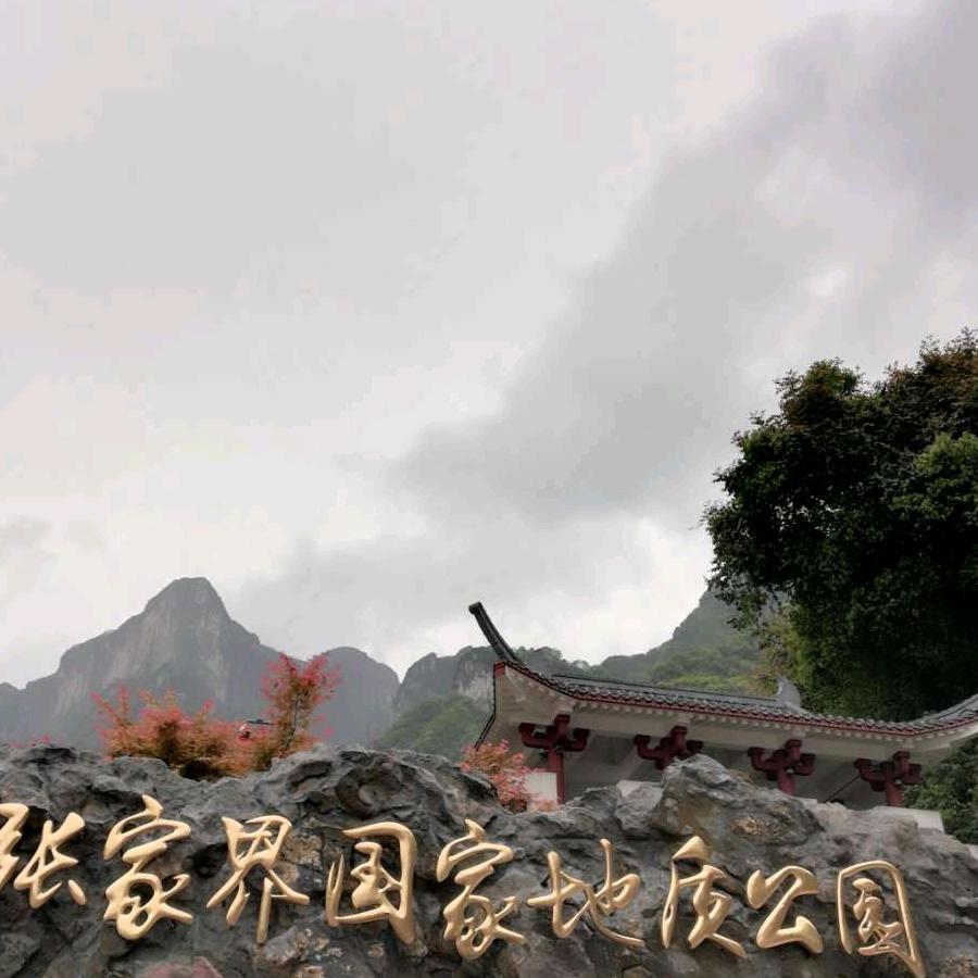 老谭