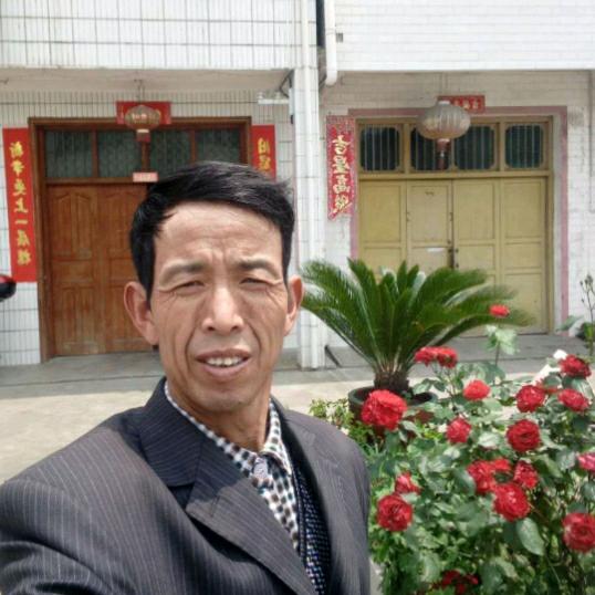 马平川 爱上蜂  土养