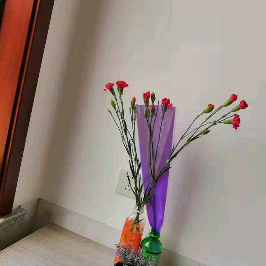 伦掌韩瑞霞-千里姻缘一线牵(需要联系)