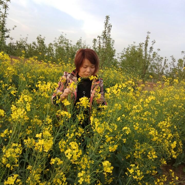 用户惜听晨时雨