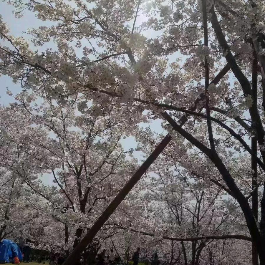 湖南湘U人、上海滴滴服务