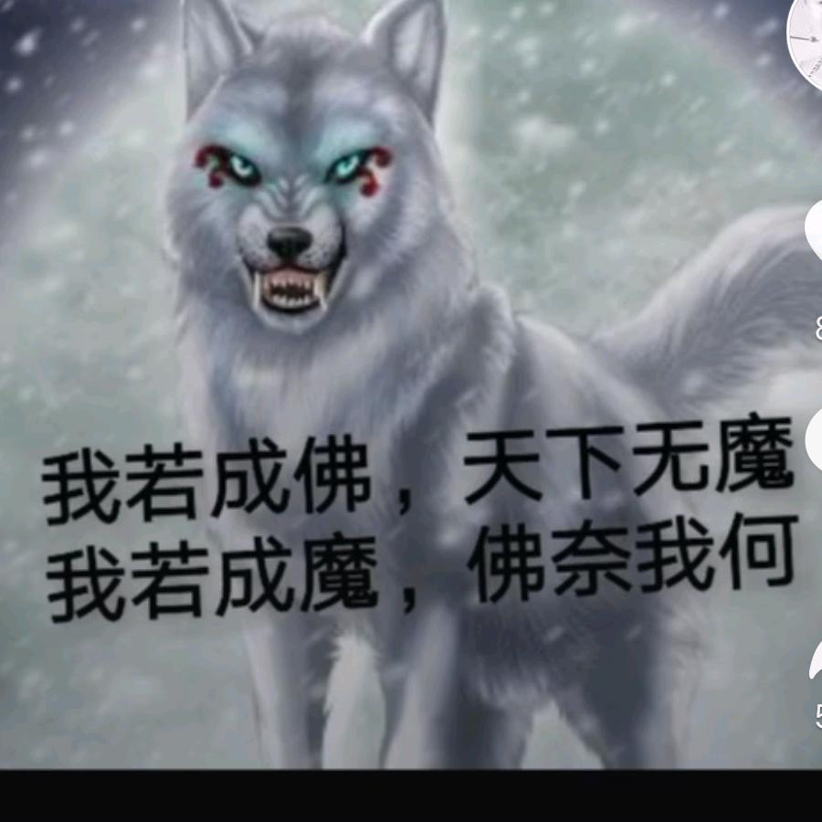 有你就晴天