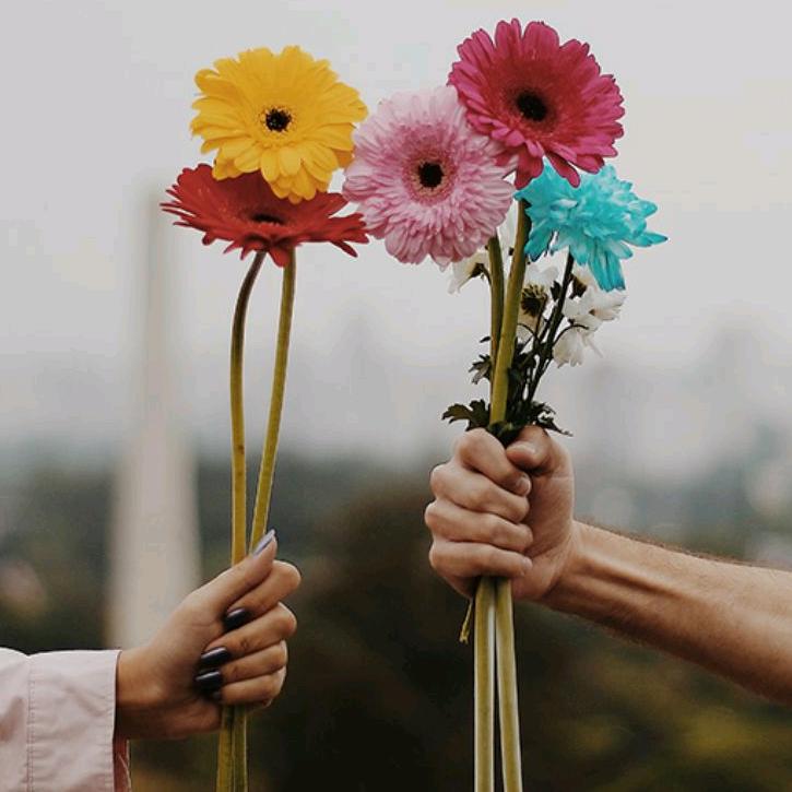 @🌻三都万腾花艺⁶¹⁸🌻