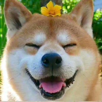 静